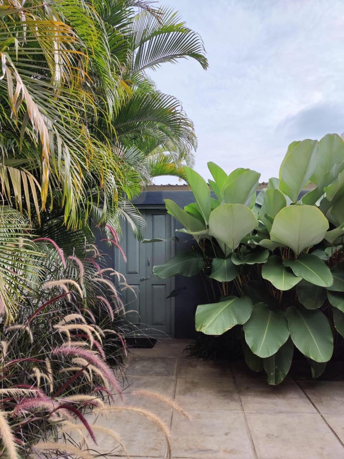 ホテル Tropicopia マイソール エクステリア 写真